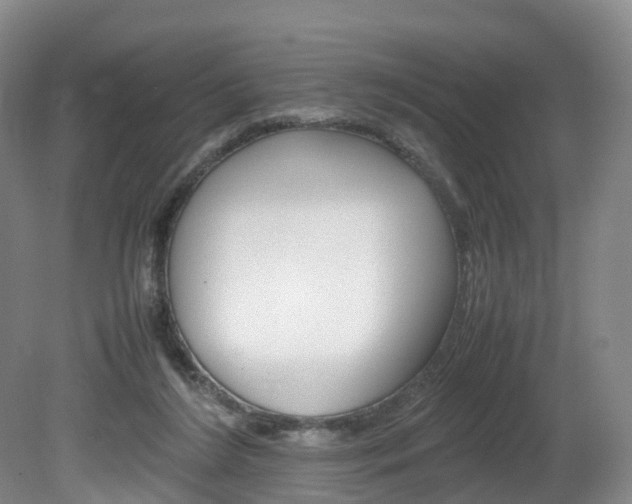 X0000082150212200701191032