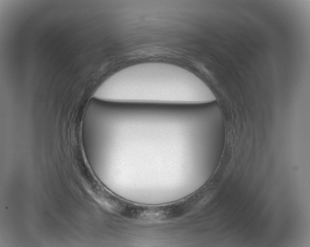 X0000082150213200701191032