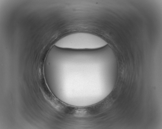 X0000082150214200701191032