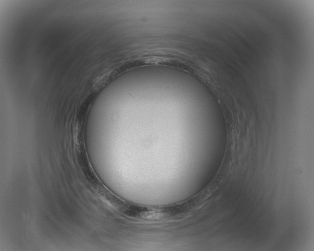 X0000082150219200701191032