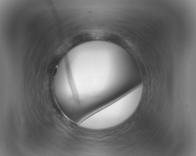 X0000082150221200701191032