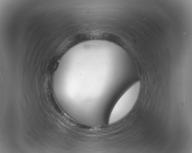 X0000082150225200701191032