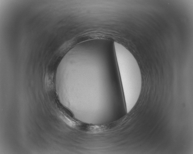 X0000082150239200701191031