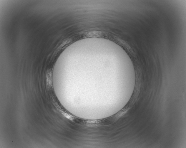 X0000082150240200701191031