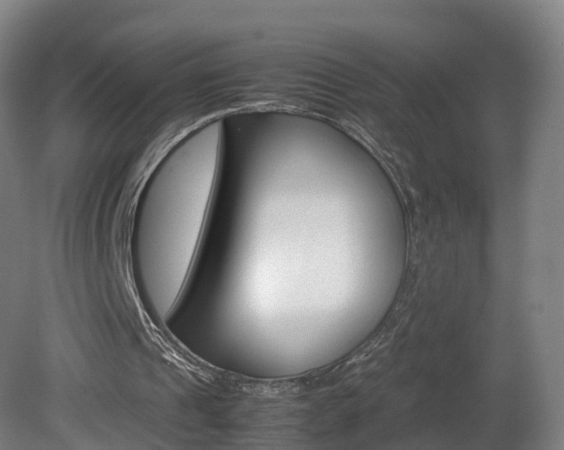 X0000082150241200701191031