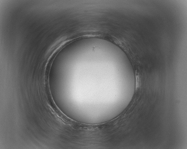 X0000082150243200701191031