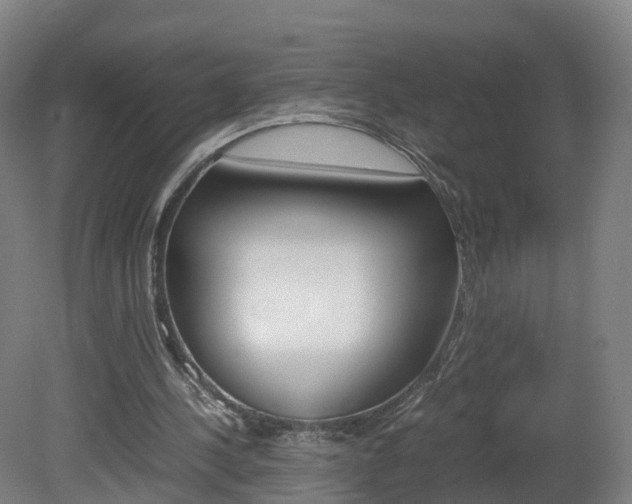 X0000082150244200701191031