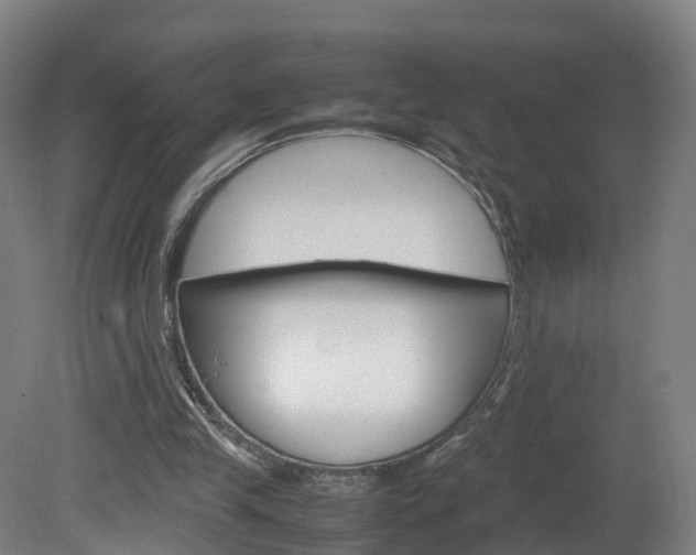 X0000082150245200701191031