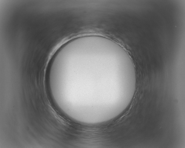 X0000082150248200701191031