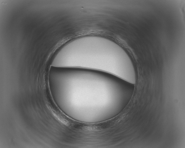X0000082150250200701191031