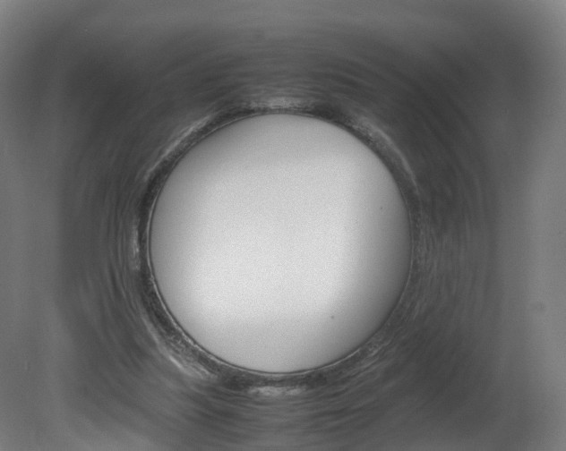 X0000082150251200701191031
