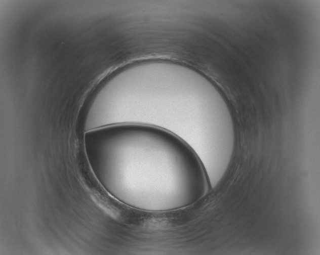 X0000082150252200701191031