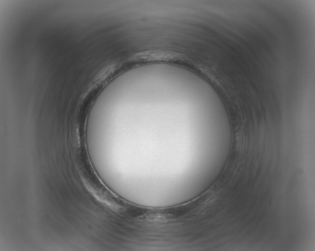 X0000082150254200701191031