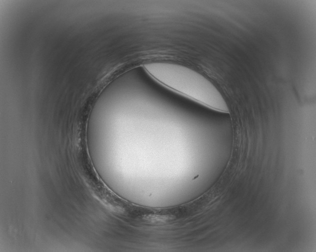 X0000082150255200701191031