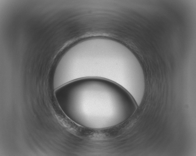 X0000082150256200701191031