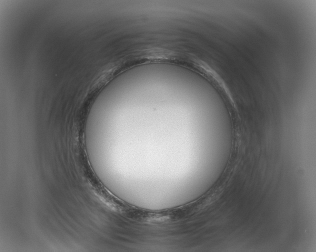 X0000082150257200701191031