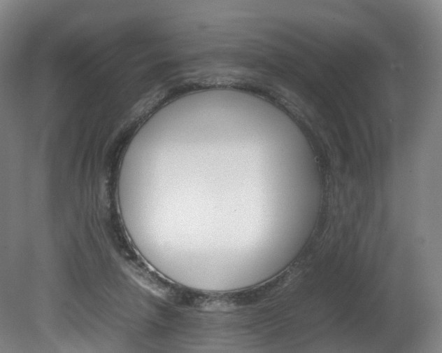 X0000082150258200701191031