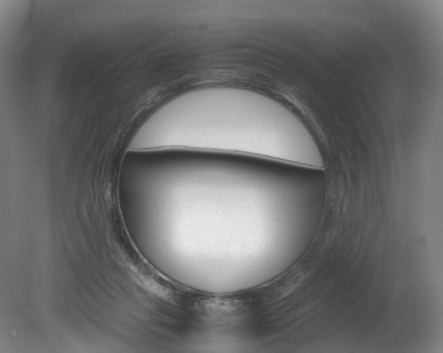 X0000082150261200701191031