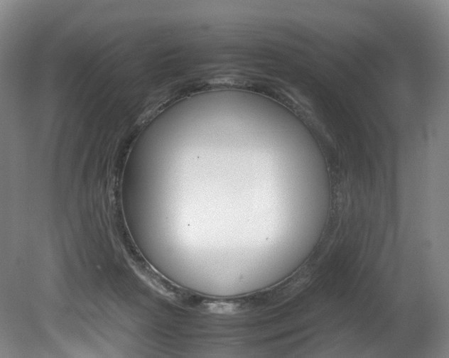 X0000082150265200701191031