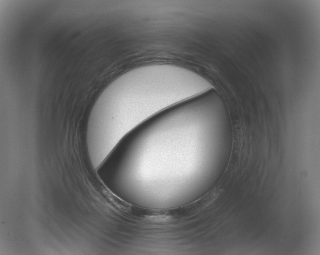 X0000082150266200701191031