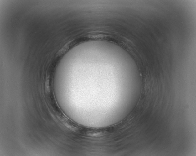 X0000082150267200701191031