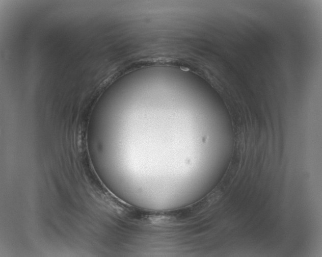 X0000082150268200701191031
