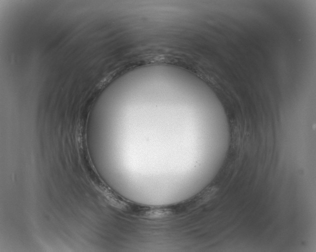 X0000082150274200701191031