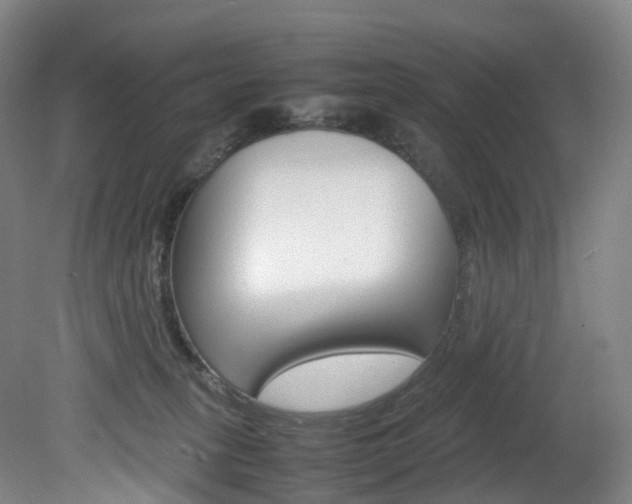 X0000082150275200701191031