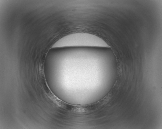 X0000082150276200701191031