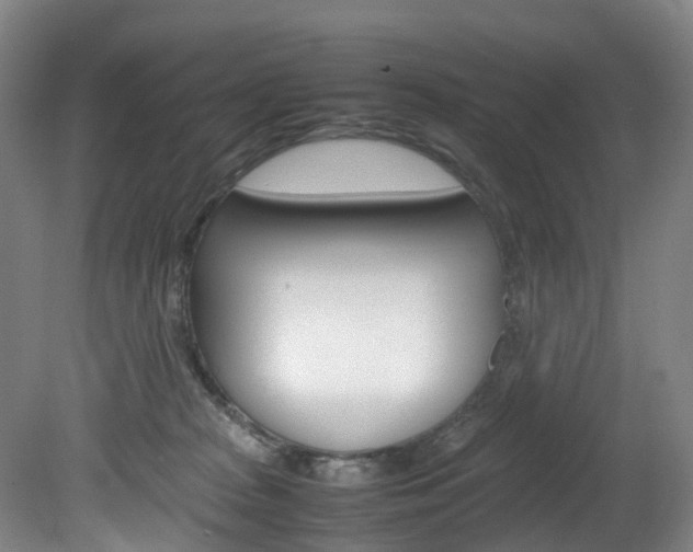 X0000082150277200701191031