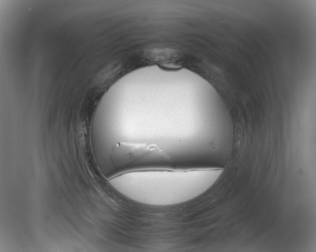 X0000082150279200701191031