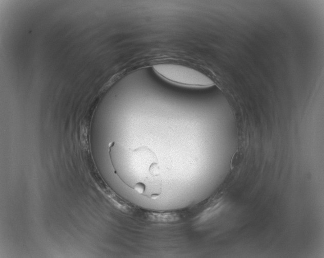 X0000082150281200701191031