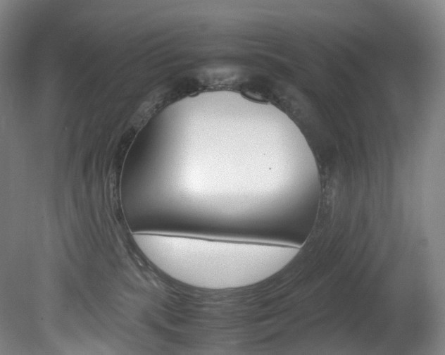 X0000082150283200701191031
