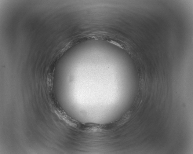 X0000082150284200701191031