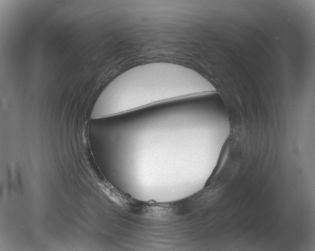 X0000082150286200701191031