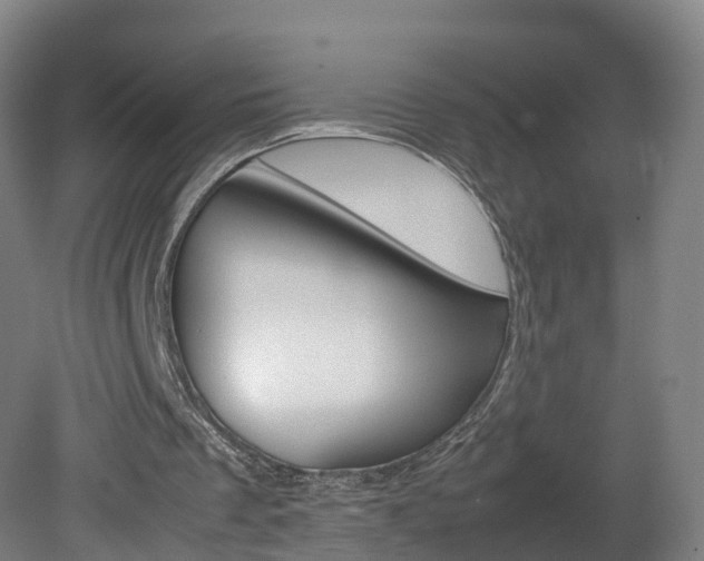 X0000082150289200701191031