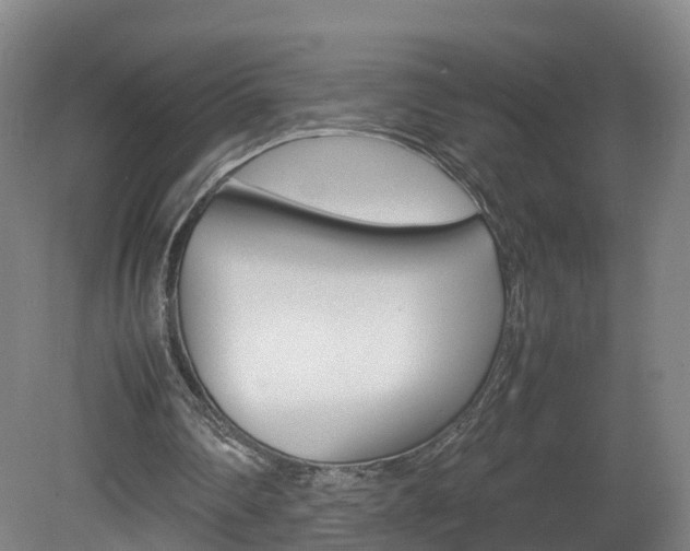 X0000082150290200701191031