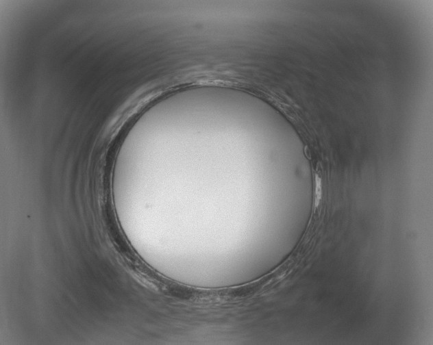 X0000082150291200701191031