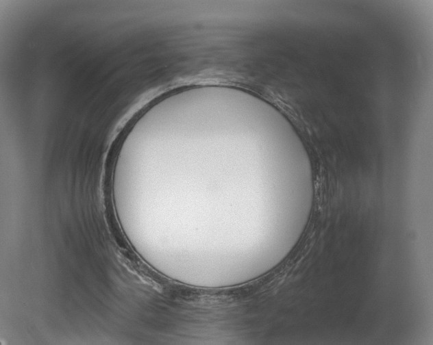 X0000082150292200701191031