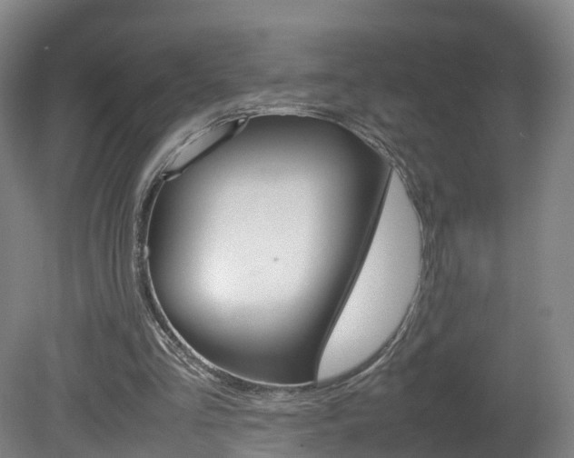 X0000082150293200701191031