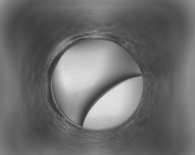 X0000082150295200701191031