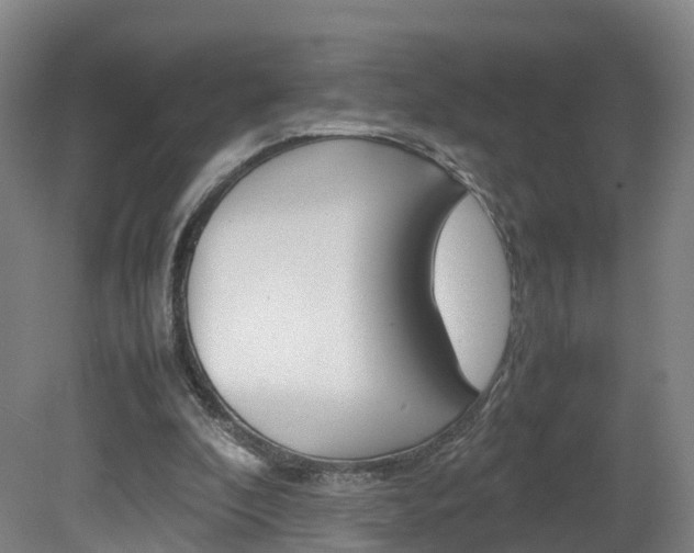 X0000082150296200701191031