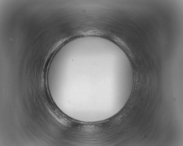 X0000082150298200701191030