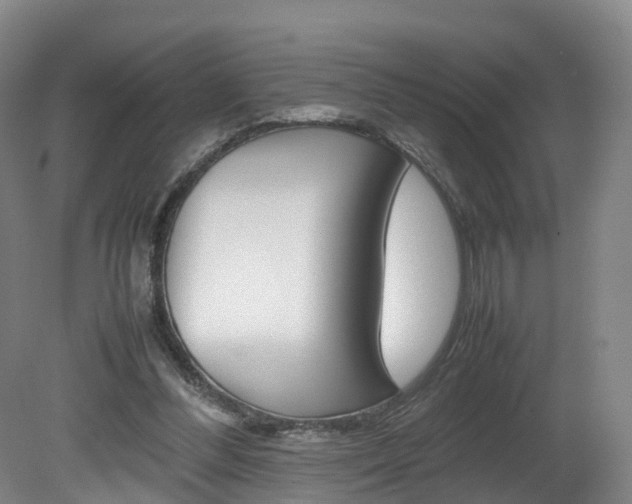 X0000082150300200701191030