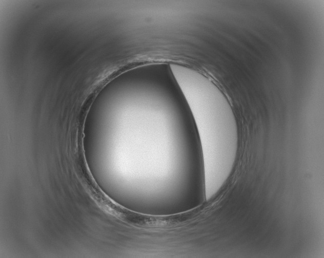X0000082150301200701191030
