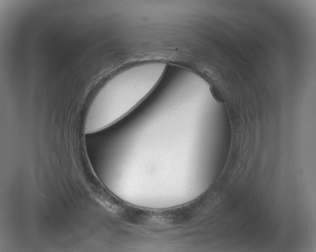X0000082150303200701191030