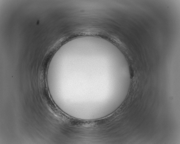 X0000082150306200701191030