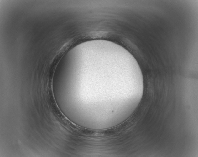 X0000082150308200701191030