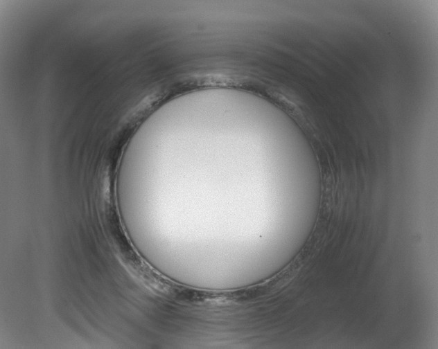 X0000082150310200701191030