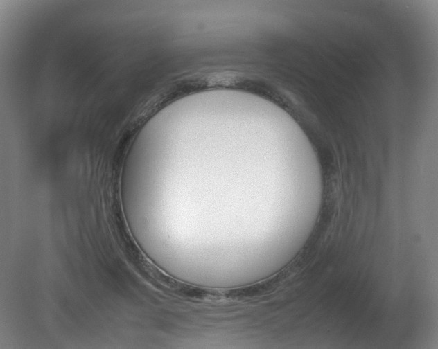 X0000082150311200701191030